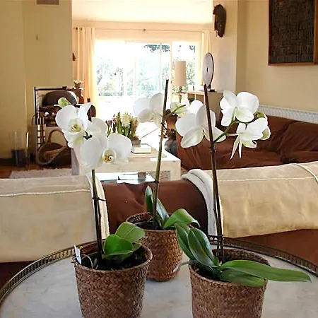 De 3 Chambres Avec Piscine Privee Jardin Clos Et Wifi A Beaucaire Beaucaire (Gard)